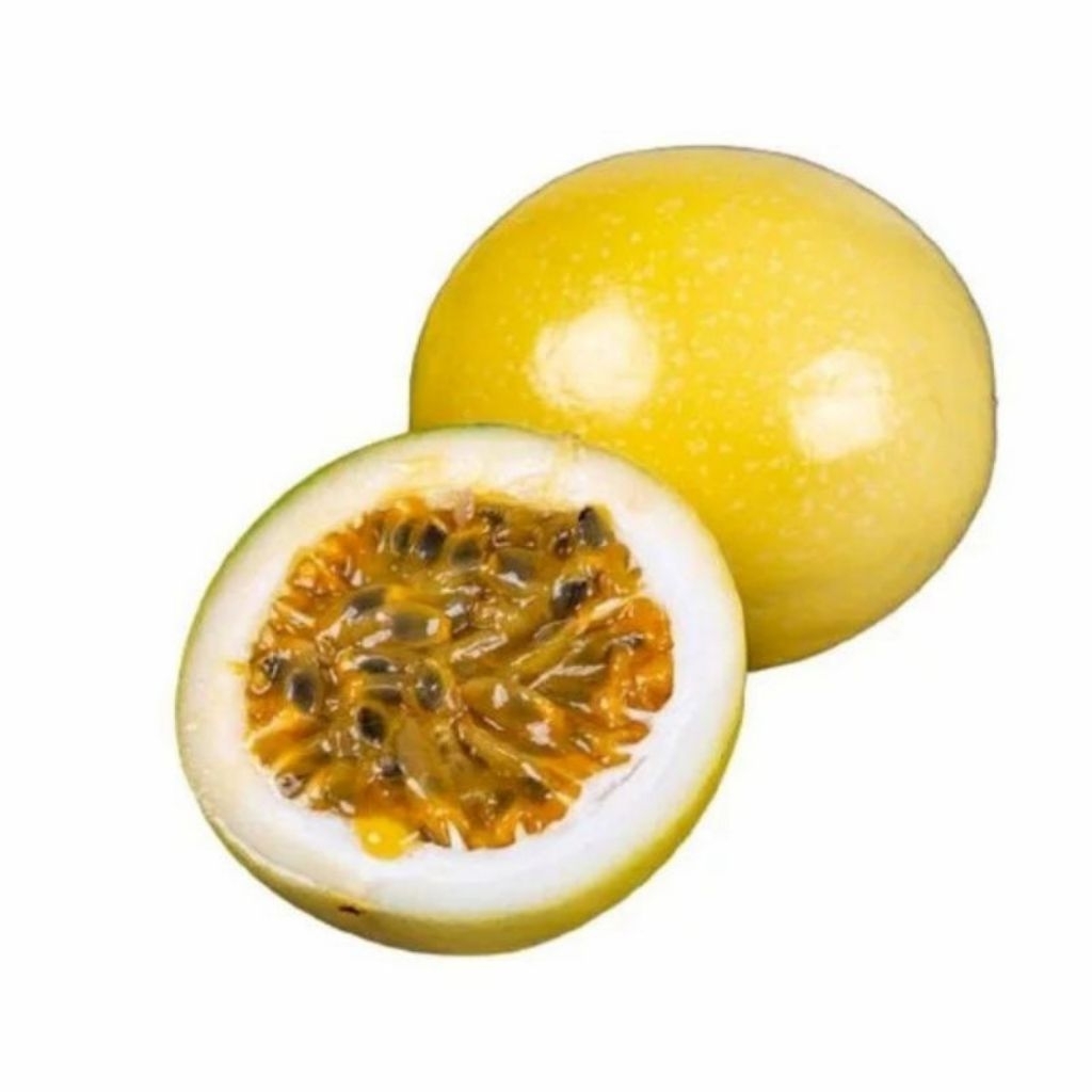 

Buah Markisa Segar 1 kg - Markisa Kuning Matang Fresh