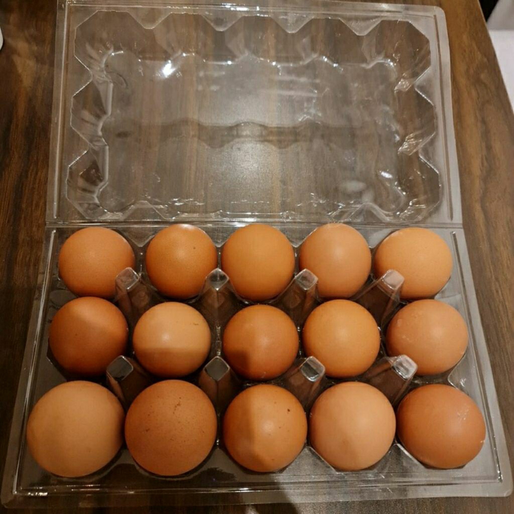 

Telur ayam negeri fresh 6 butir,10 butir,15 butir