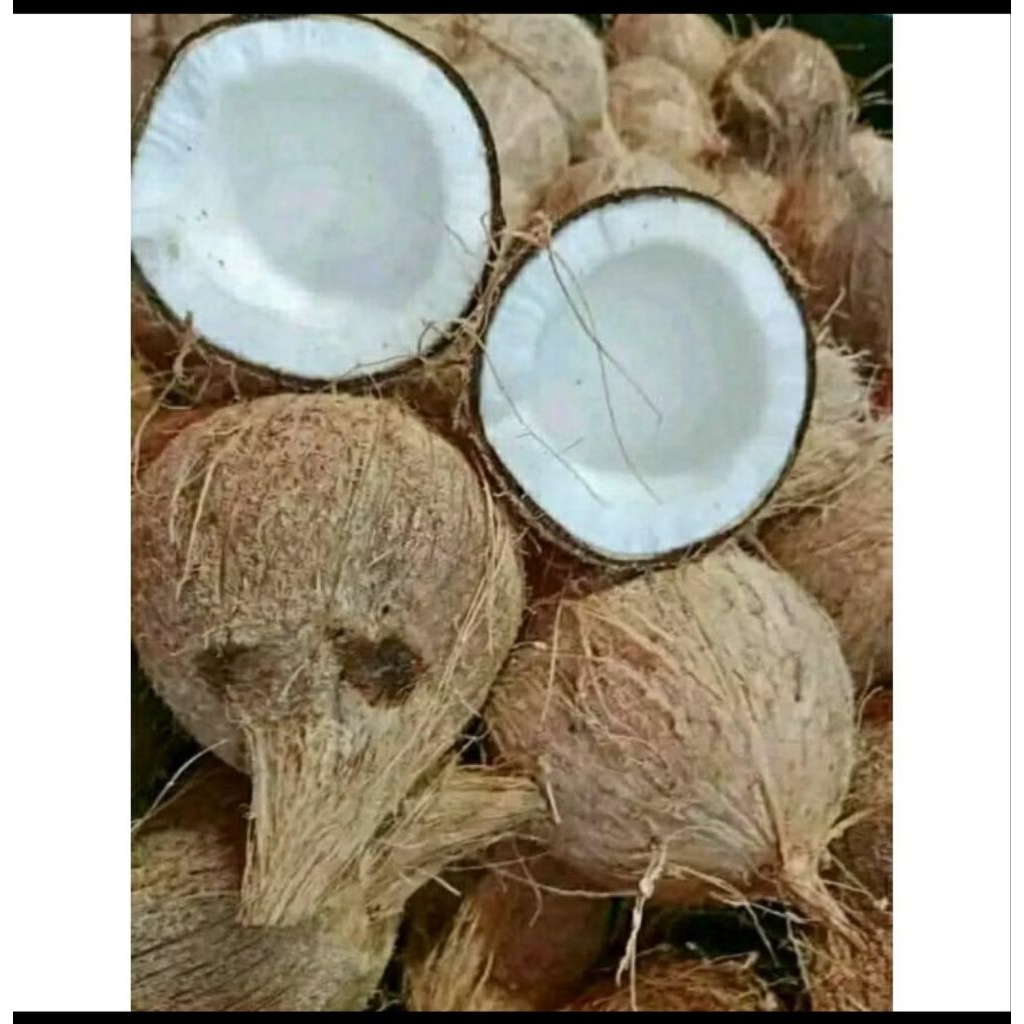 

KELAPA TUA BAHAN SANTAN TEBAL / COD