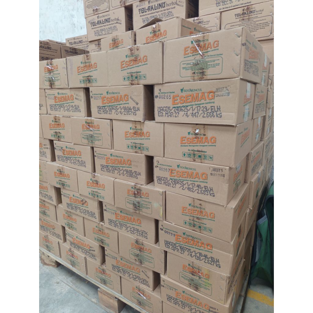 

ESEMAG 1 KARTON ISI 36 DUS