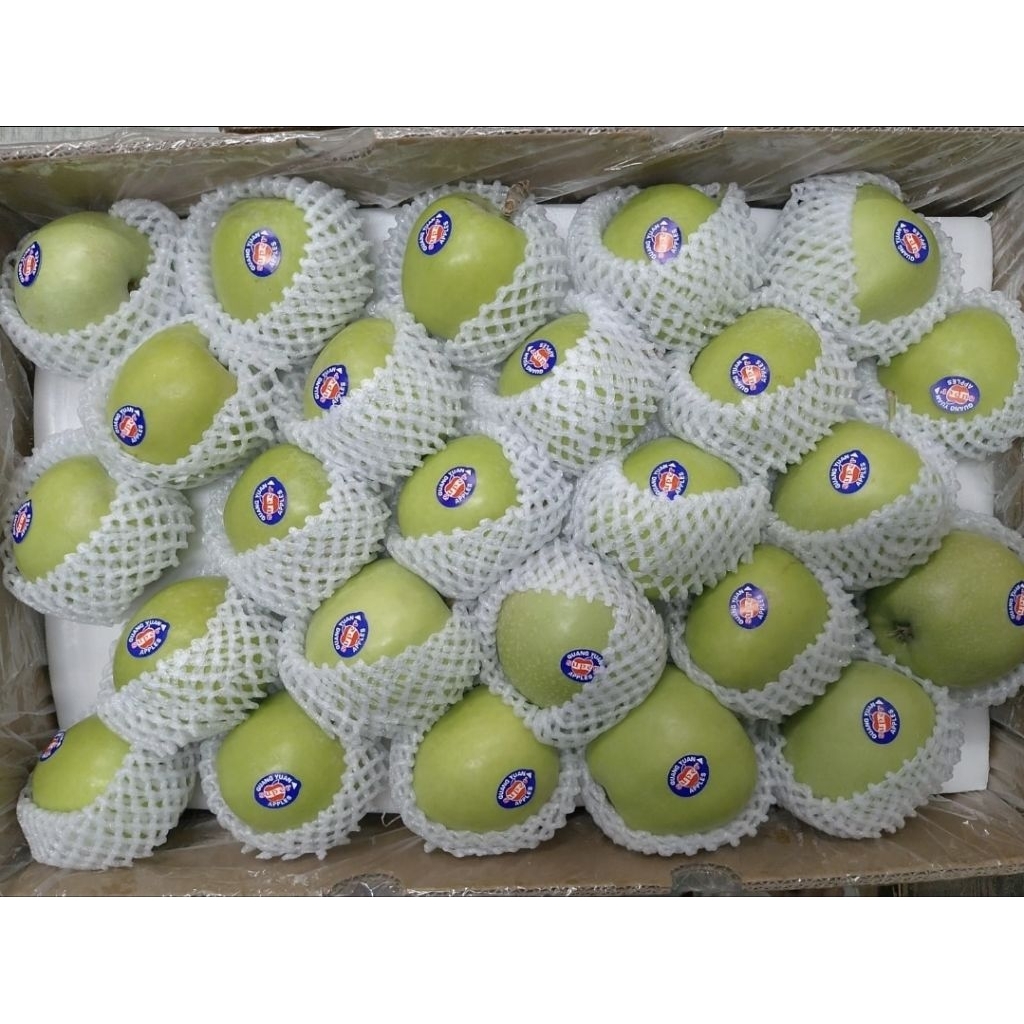 

apel grany smith/ apel hijau