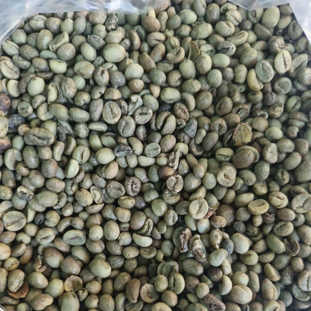 

Kopi_Robusta_Asli_TIRIS