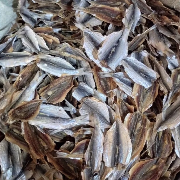 

TANJAN TIPIS/FILET TANJAN TAWAR KERING 1 ONS (100 GRAM)