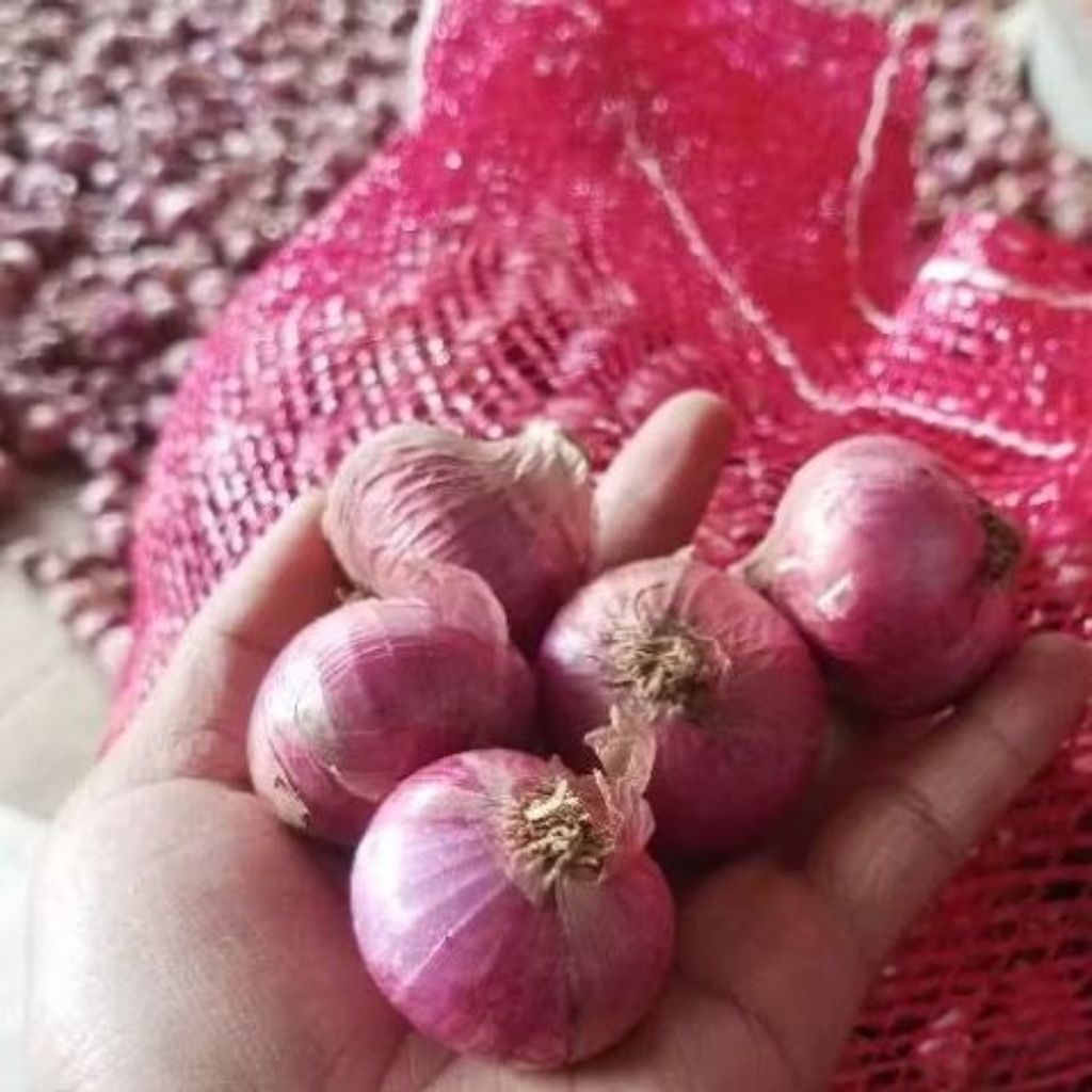 

BAWANG MERAH BERKUALITAS 1KG