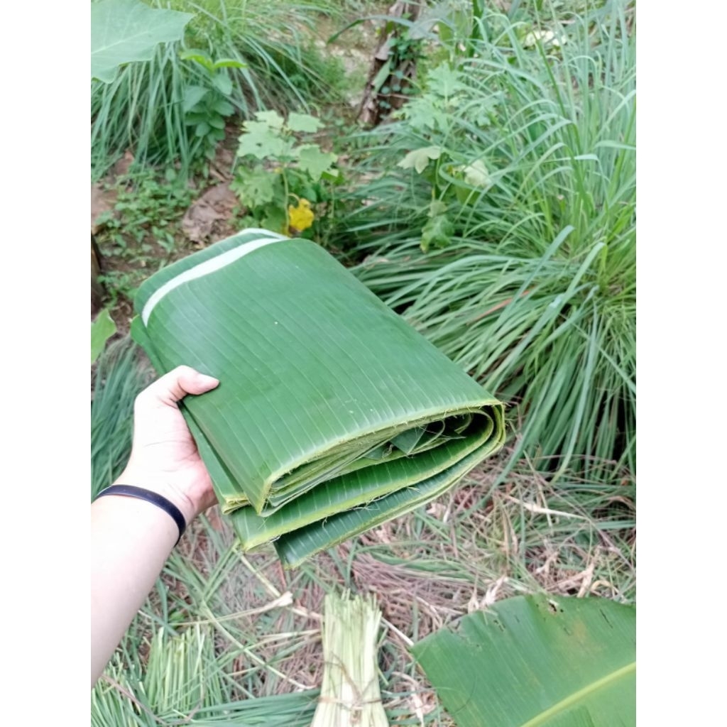 

daun pisang 1 kg premium