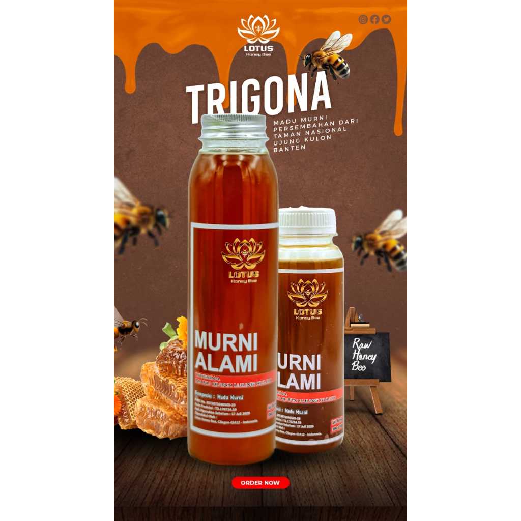 

KAWAO - Madu Hutan Asli Murni 100% Tanpa Campuran Dorsata Odeng Salam Trigona Mellifera