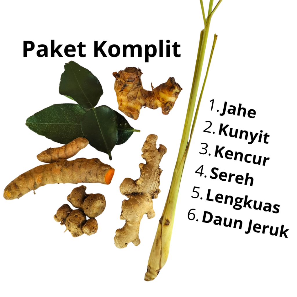 

Paket Komplit Bumbu Rempah Jahe Kunyit Kencur Sereh lengkuas Daun Jeruk untuk Opor Rendang Gulai