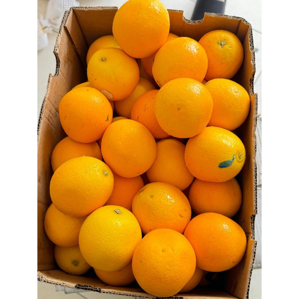 

JERUK SUNKIST VALENCIA AFRIKA (BOX)