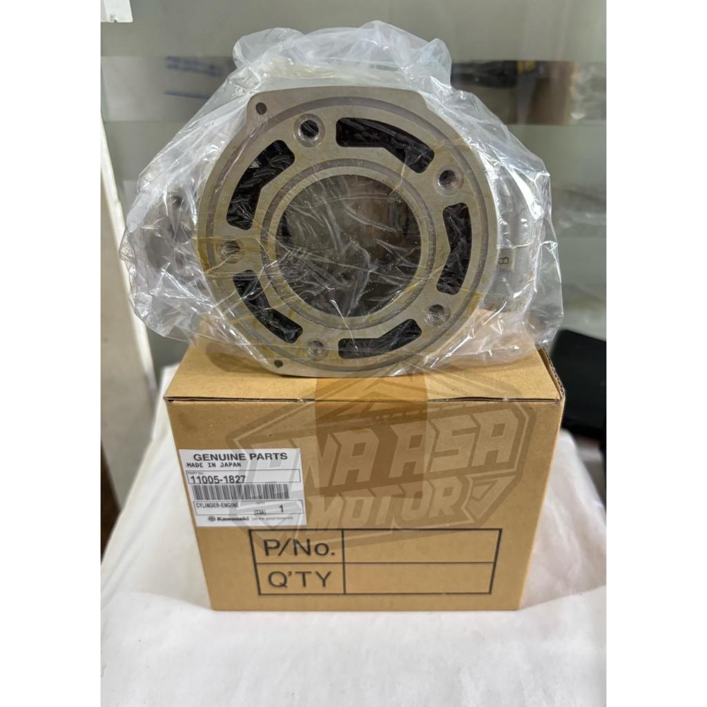 Cylinder Blok Kawasaki Ninja R KIS Seher Kawasaki Ninja R KIS Original - 11005-1827