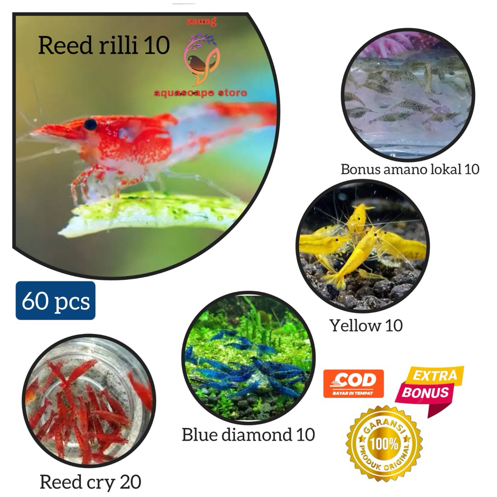 

udang hias paket isi 50 pcs