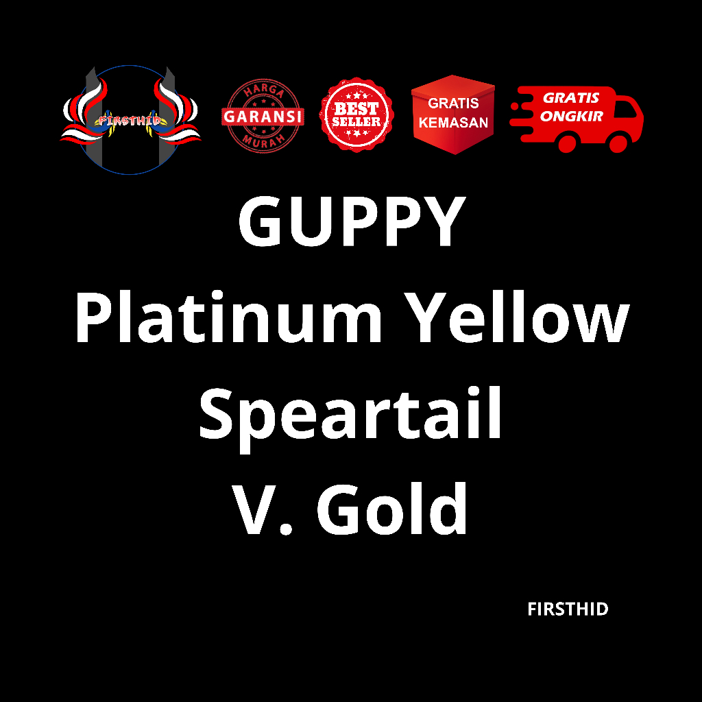 (BEST SELLER) Aksesoris Akuarium GUPPY Blonde Red Speartail penghias kolam