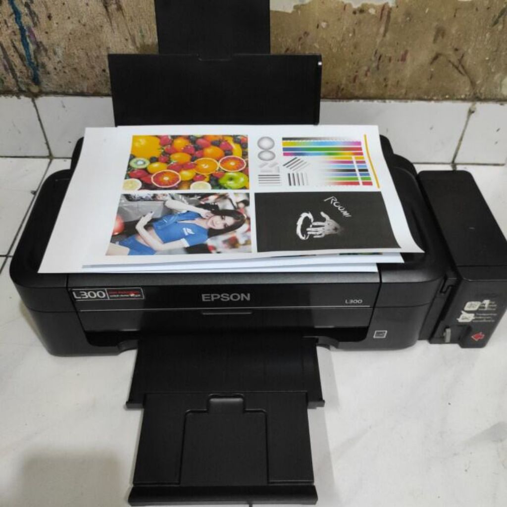 printer Epson L300 series