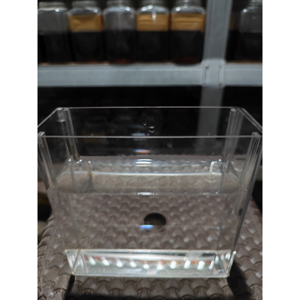 soliter selfie akrilik