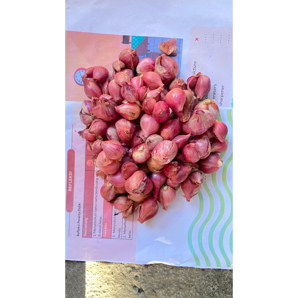 

Bawang merah Probolinggo Kualitas Kering Oke Ukuran CAMPUR BERAT 500GR