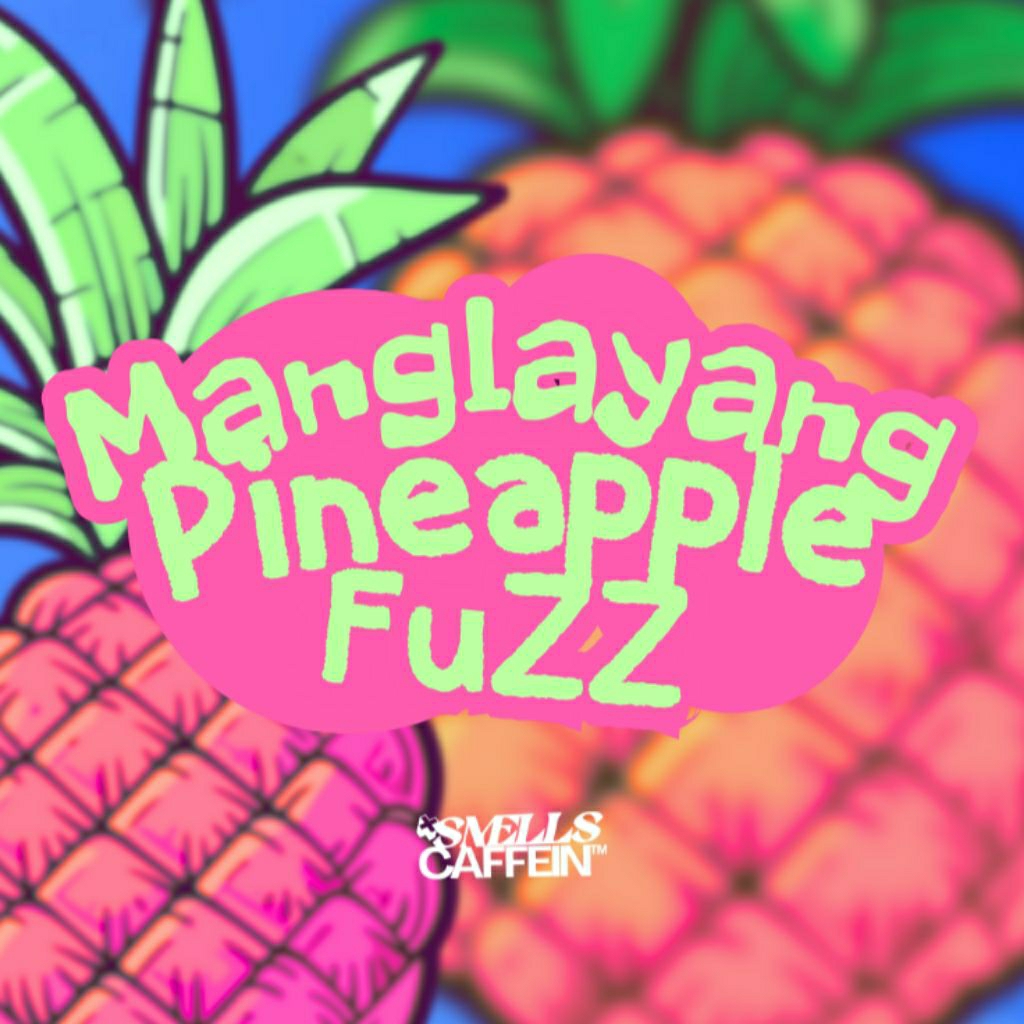 

Pineapple Fuzz Manglayang - Single Origin Arabica 200gr Kopi Sangrai