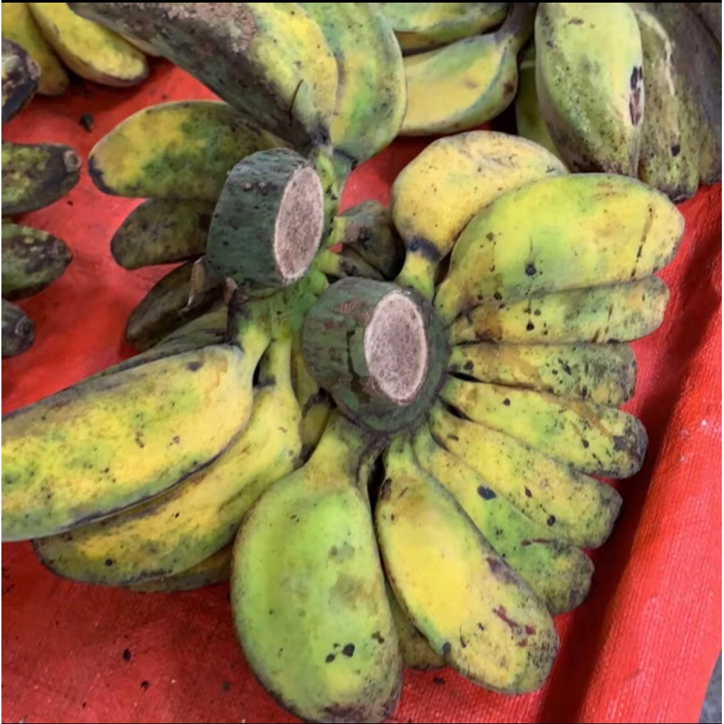 

pisang kepok 1 sisir