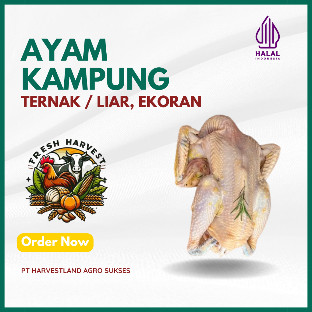 

Ayam Kampung Ternak / Liar (FRESH & FROZEN) HARVESTLAND