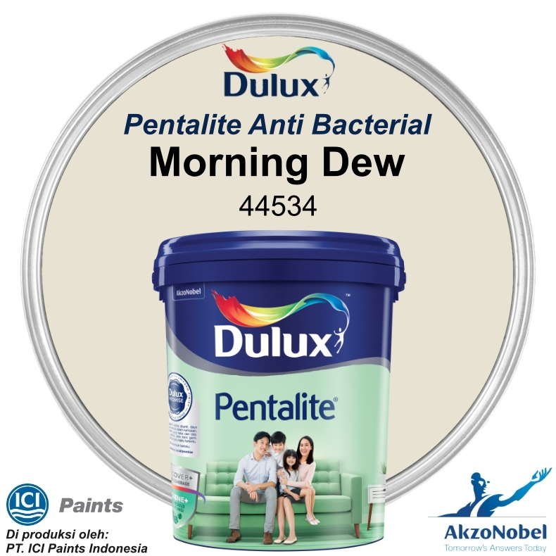 CAT DULUX PENTALITE 20 LT - MORNING DEW 44534 (Warna Readymix)