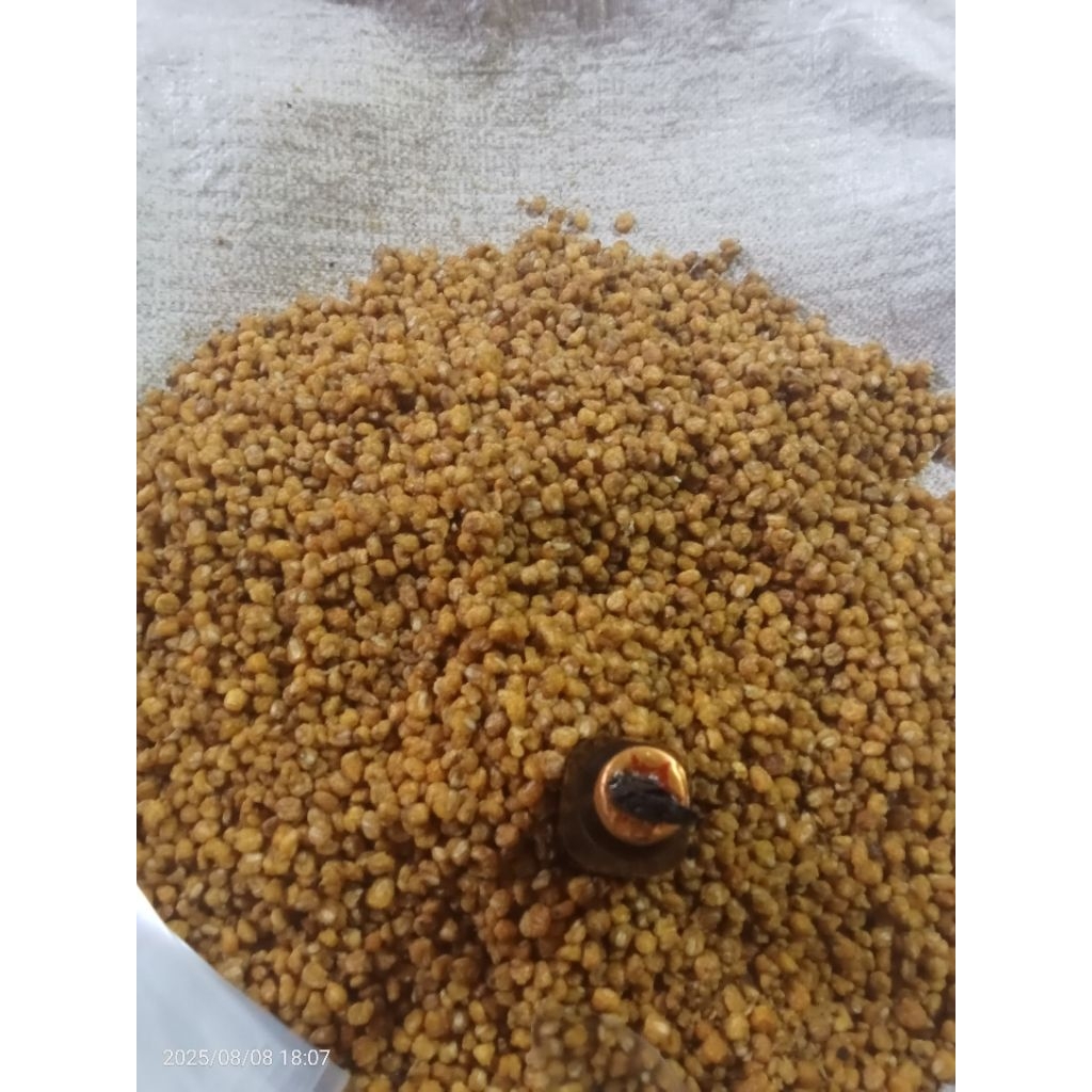 

jagung goreng enak dan gurih.