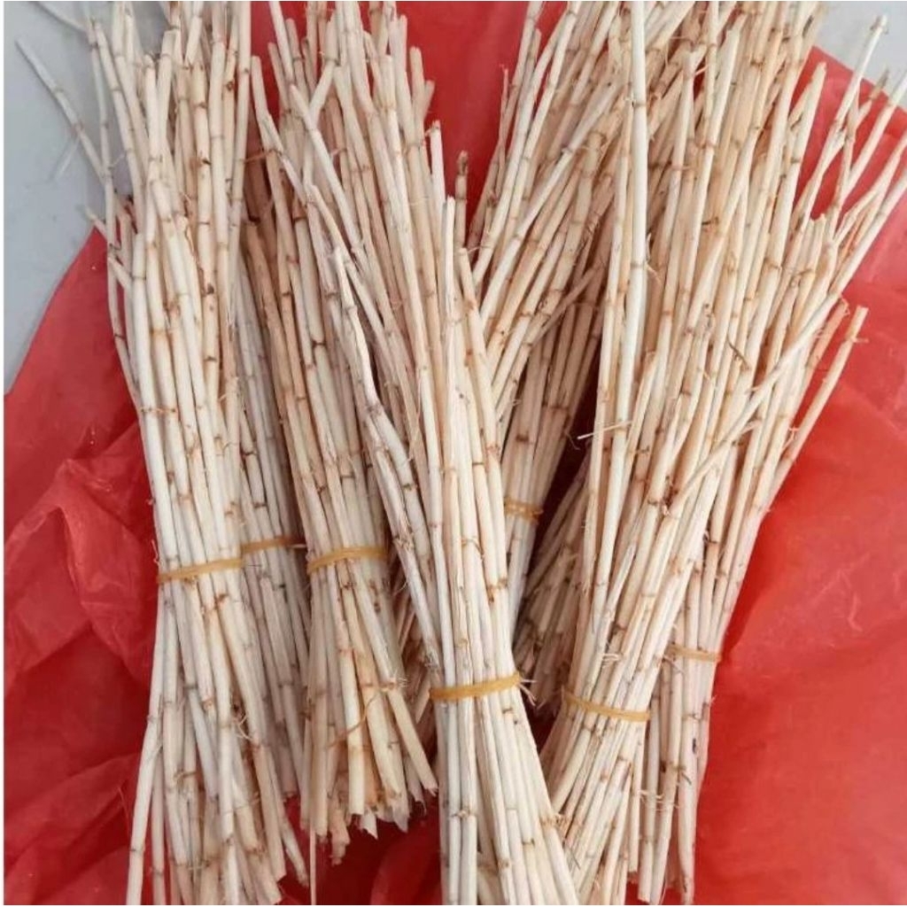 

Akar Alang-alang Segar Dadakan 500gr