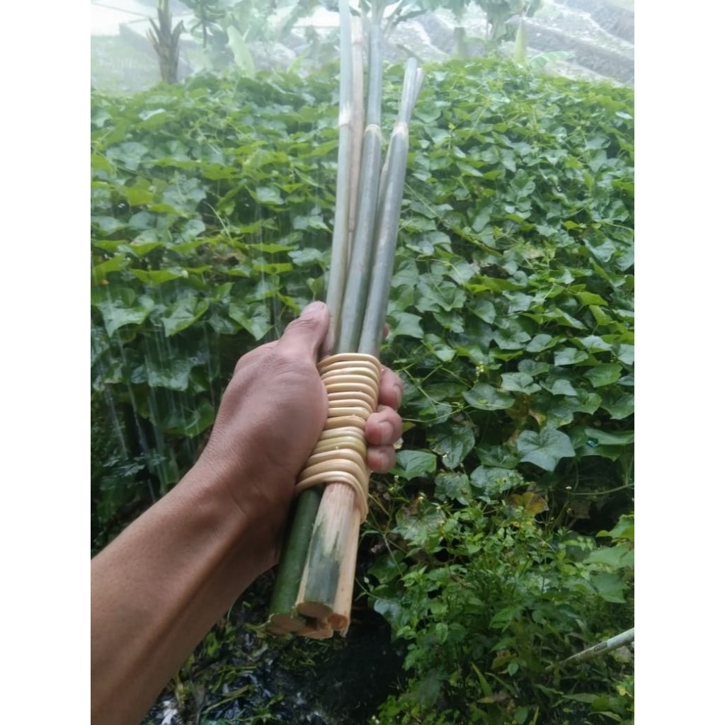 rotan pengaduk martabak