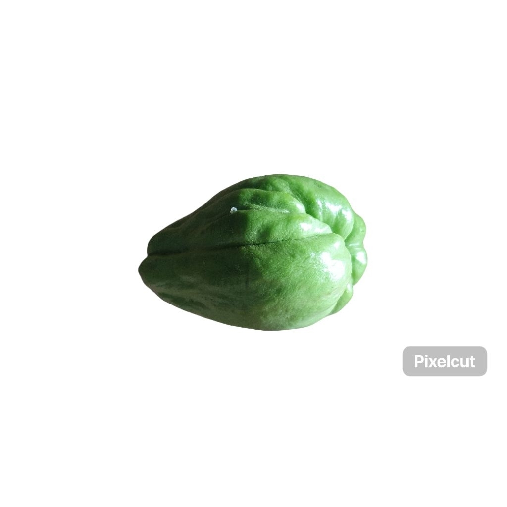 

Labu siam Jipan sayur segar