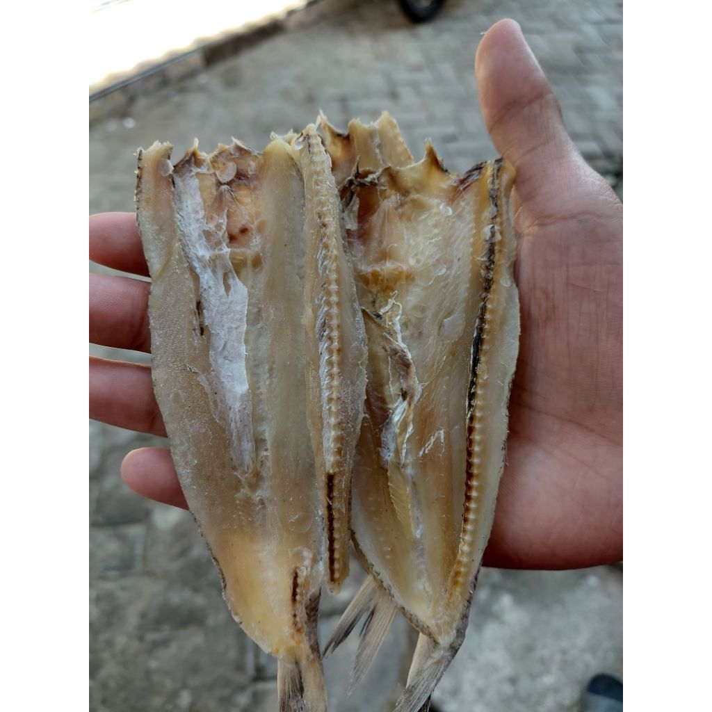 

Ikan Gabus Bloso Belah Asin Ikan Asin Bloso Gurih 500grm