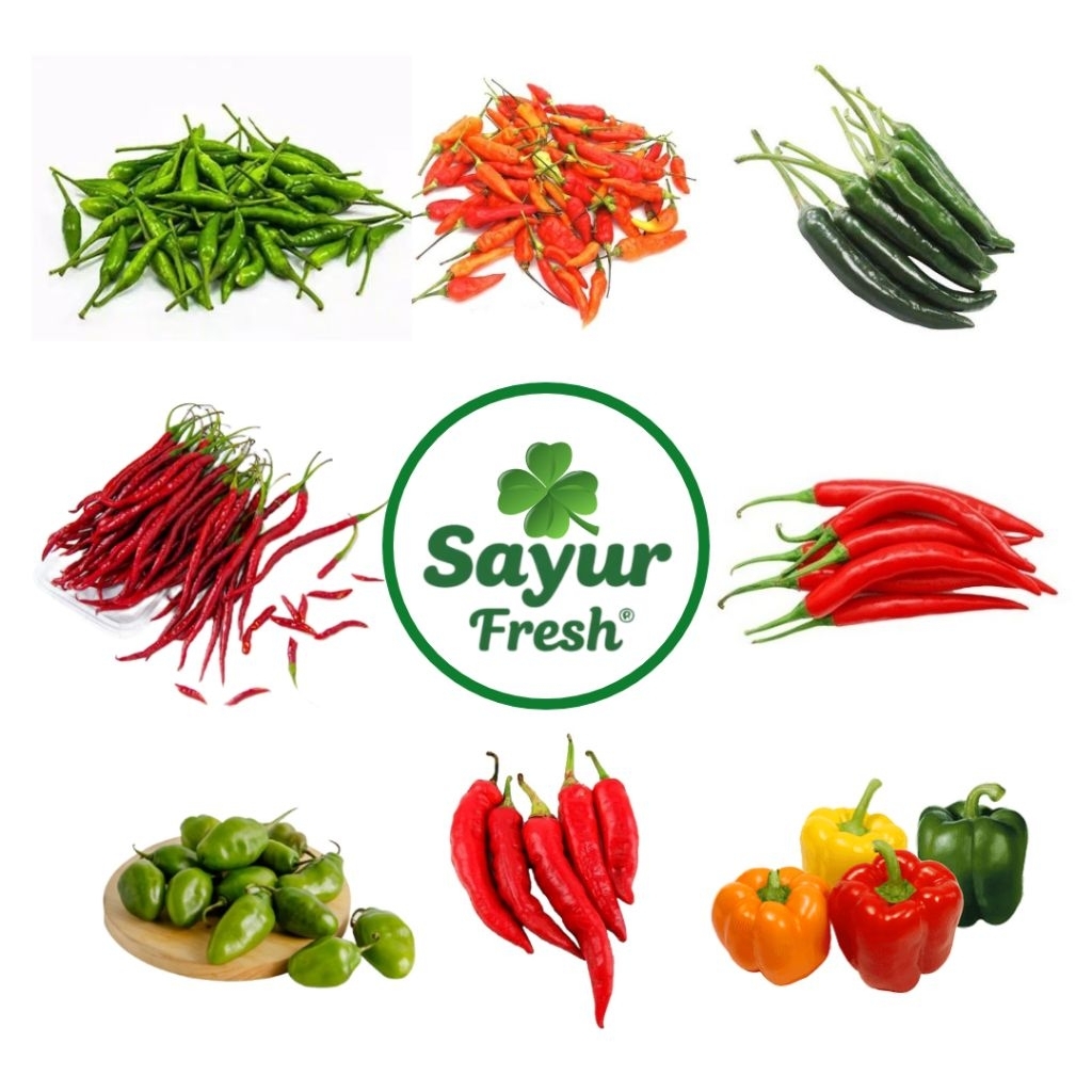 

Aneka Cabe-Cabean 100gr - SayurFresh (Instan/ Same Day) Murah, Segar dan Bersih