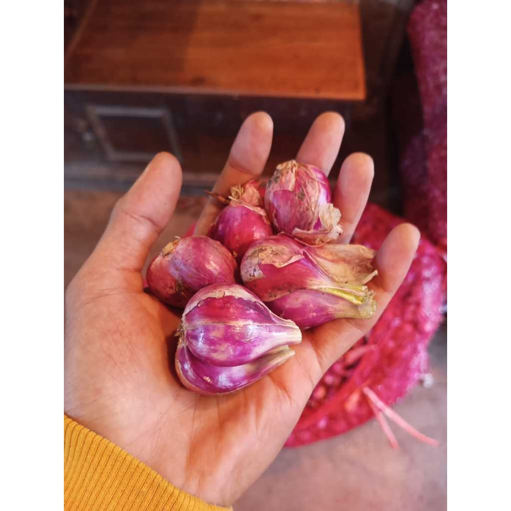 

Aneka Bawang ; Bawang Merah Brebes / Bawang Putih / Bawang Bombay Pengiriman Instan @500gr @1kg