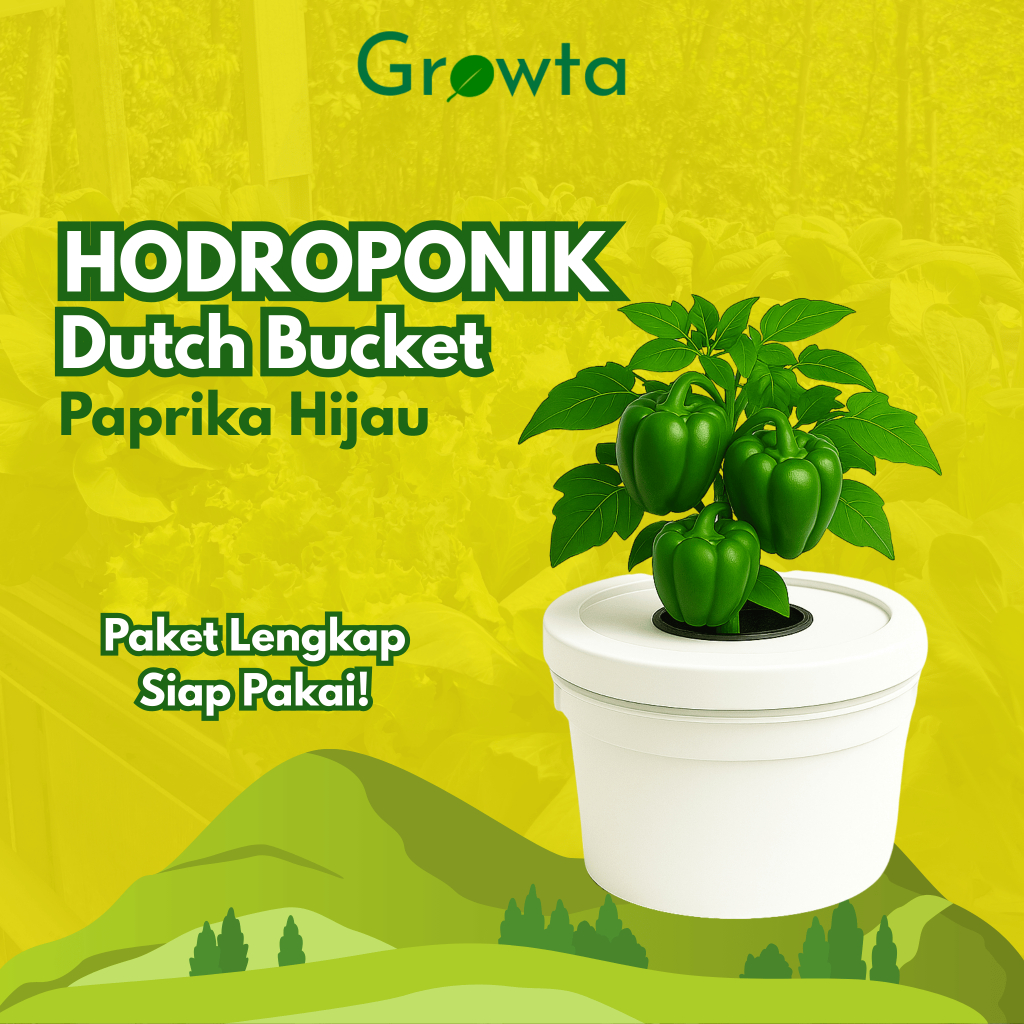 Paket Lengkap Hidroponik Pemula Dutch Bucket Paprika Hijau Wick System