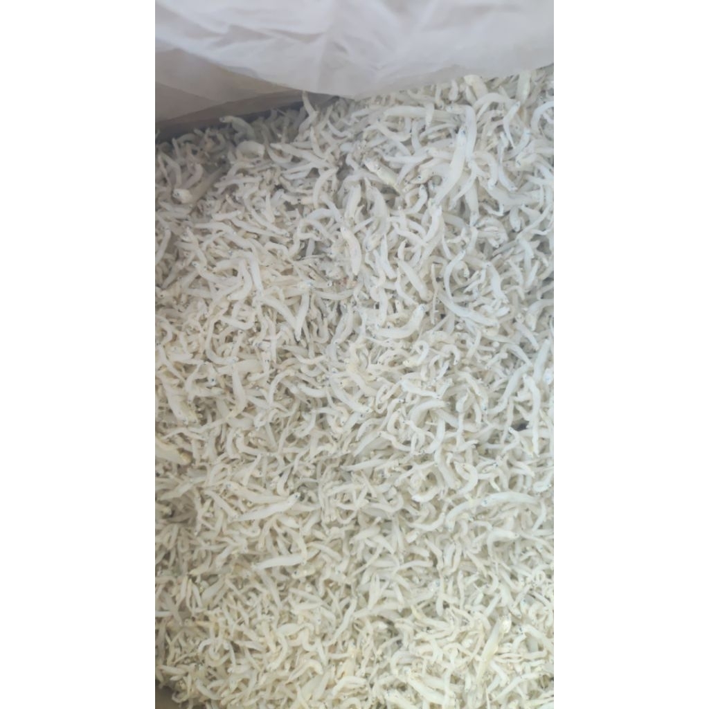 

TERI NASI MEDAN ASLI 1Kg