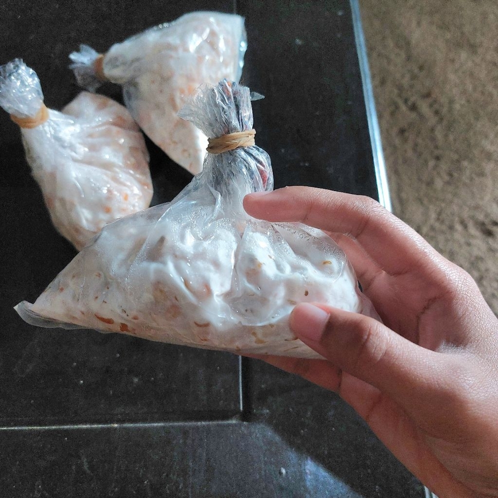 

[BUY 10 FREE 1] riyuselstore - Bibit F2 Jamur Tiram Putih Florida Plastik Besar Super Murah