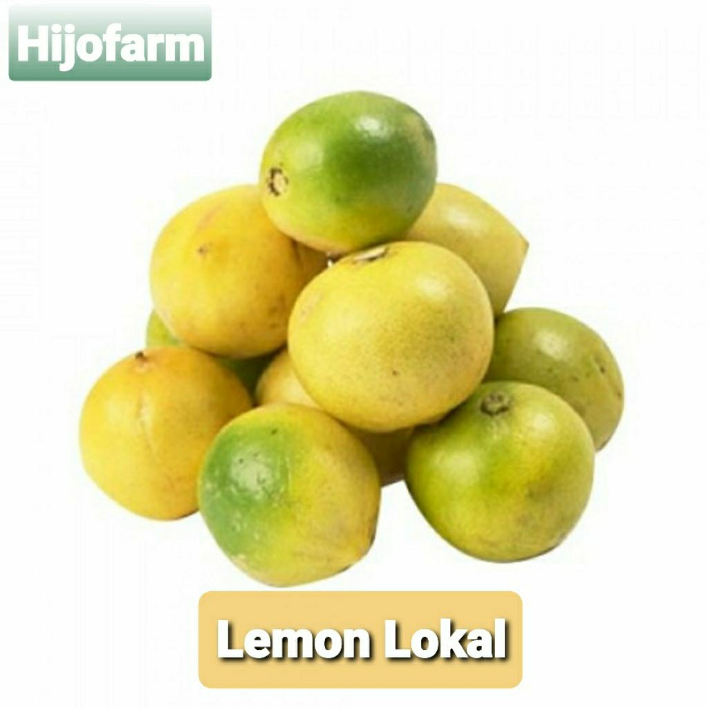 

Lemon Lokal Segar 500 Gr