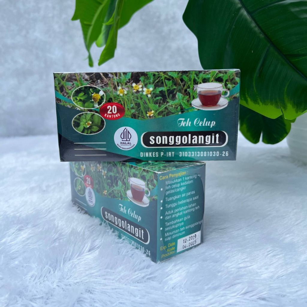 

Teh Celup Daun Songgolangit | Teh untuk Asam Urat, Rematik, Nyeri Sendi