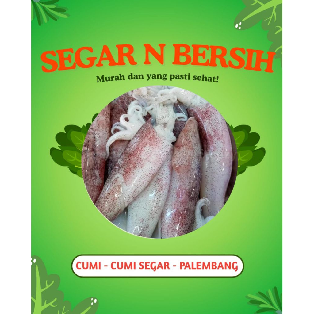 CUMI CUMI SEGAR SEDANG - PALEMBANG