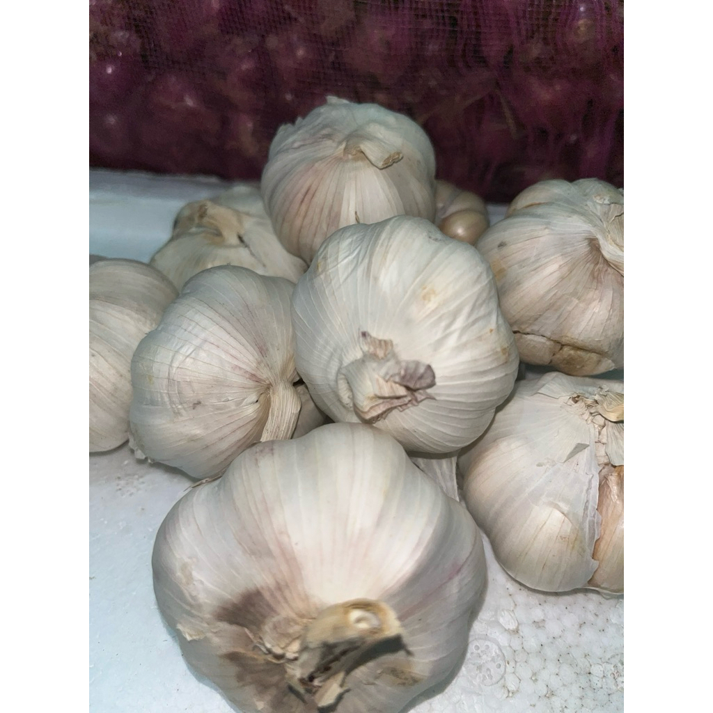 

Bawang Putih 1 KG