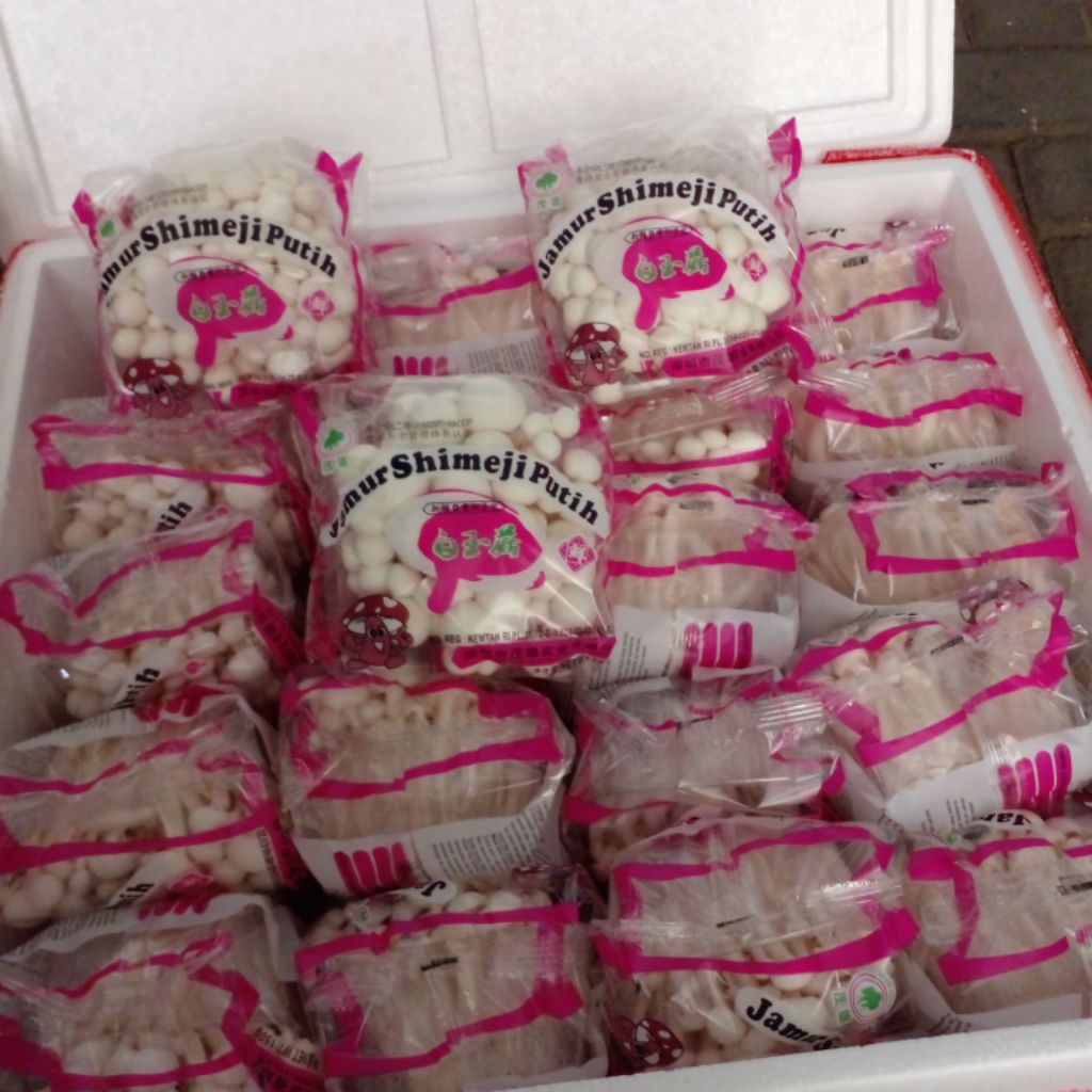 

shimeji mushroom( kusus jawa timur)