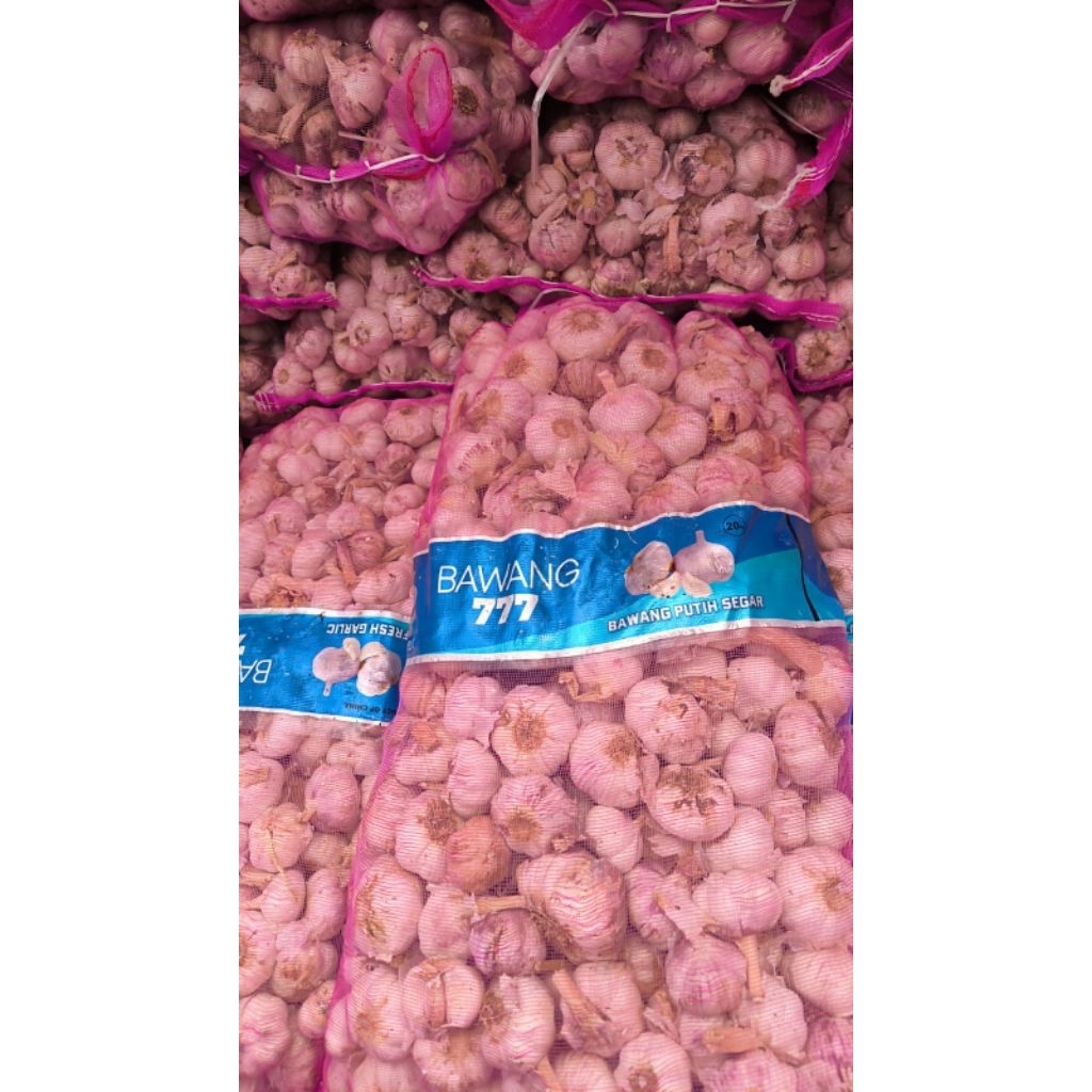 

bawang putih,baput,bawang putih besar,bawang murah