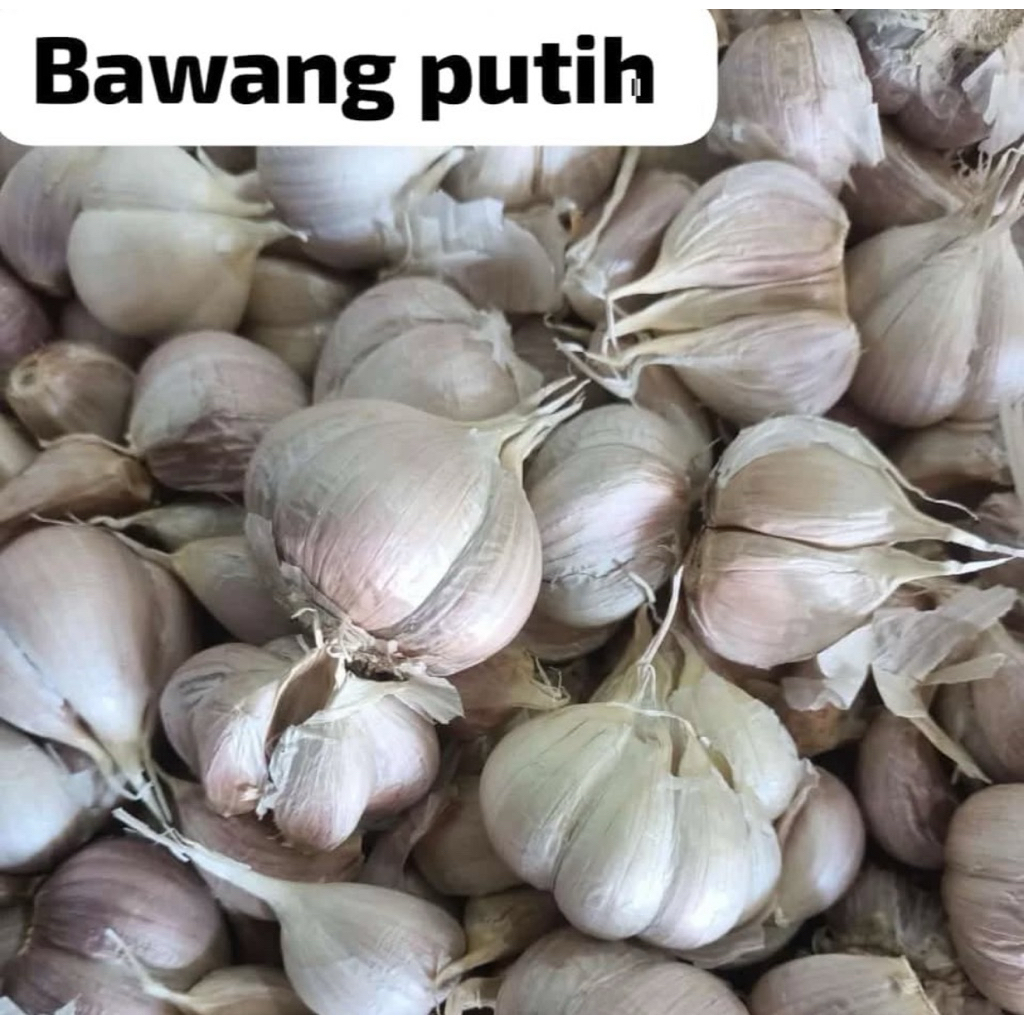 

GROSIR BAWANG PUTIH SUPERAN