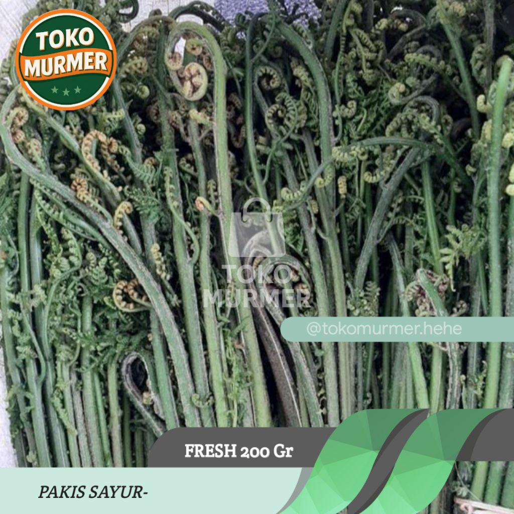 

Pakis sayur segar 200 gram_Toko murmer