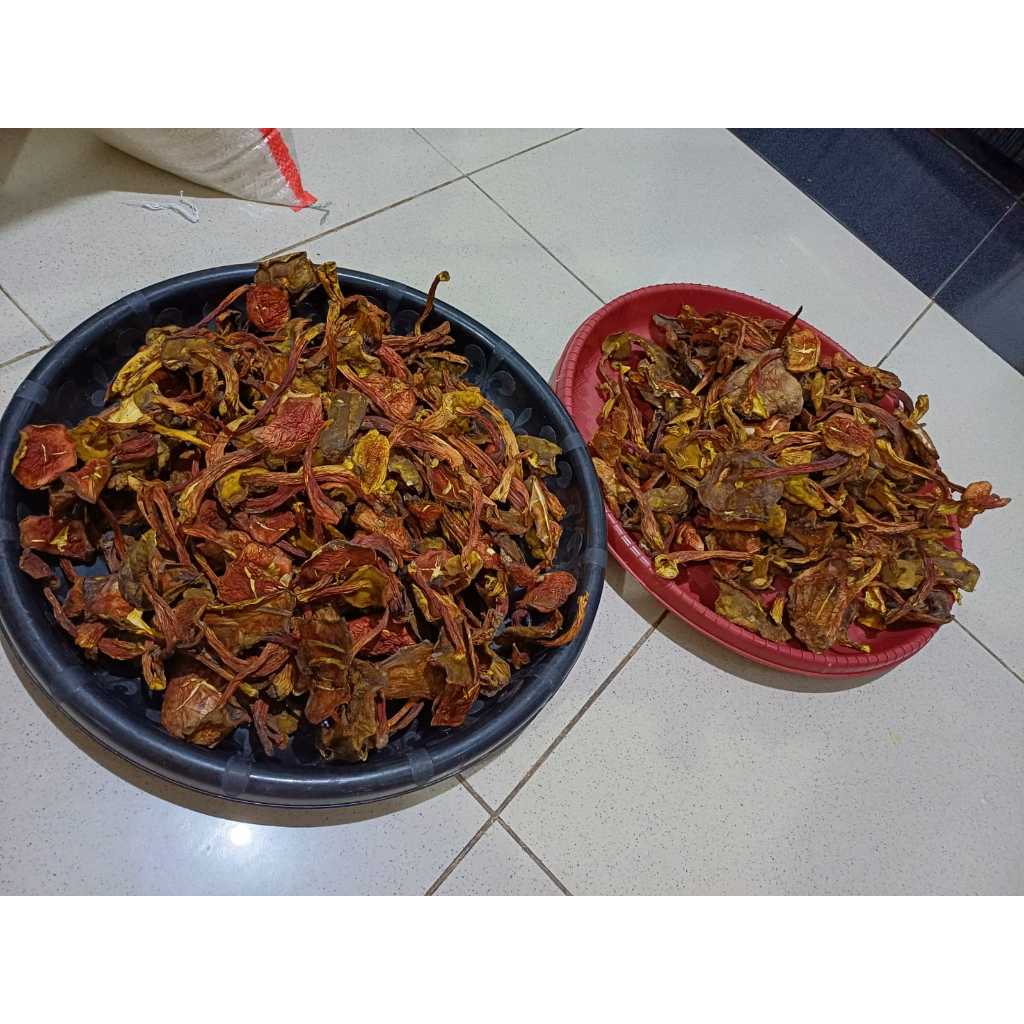 

Jamur Kulat Pelawan 1 KG