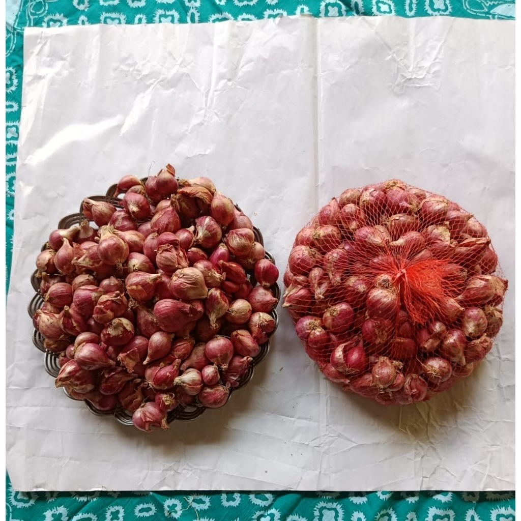 

Bawang Merah Sedang 1 kg