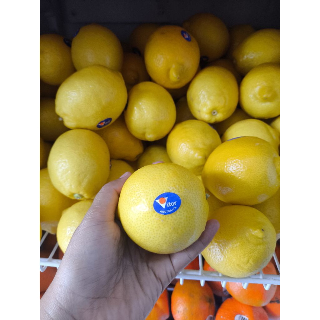 

Lemon Australia Asli – Buah Segar Import Premium