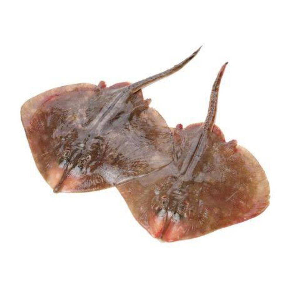 

Ikan Pari Fresh 1 kg (Ikan Segar)