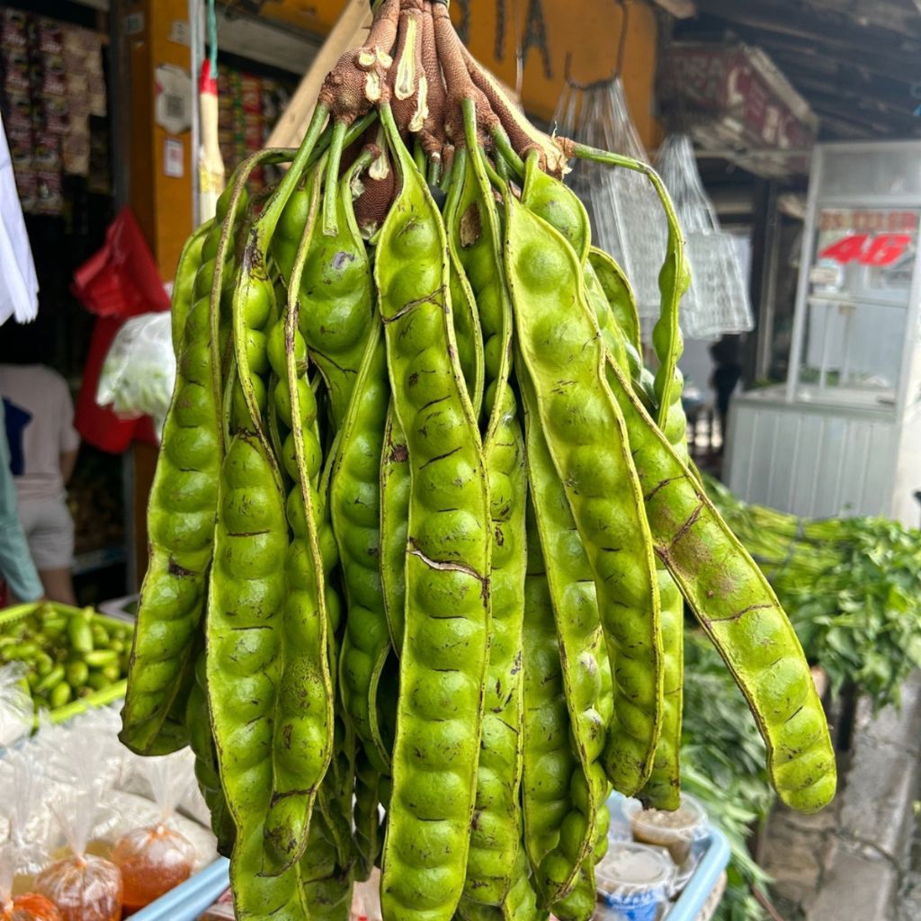 

pete petai 10 Papan / lonjor