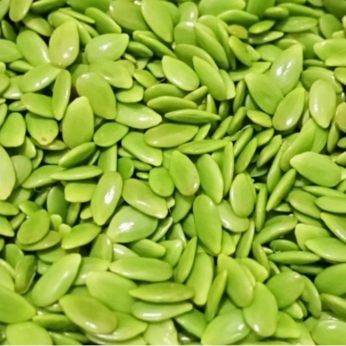 

Petai China/lamtoro Segar 30gr