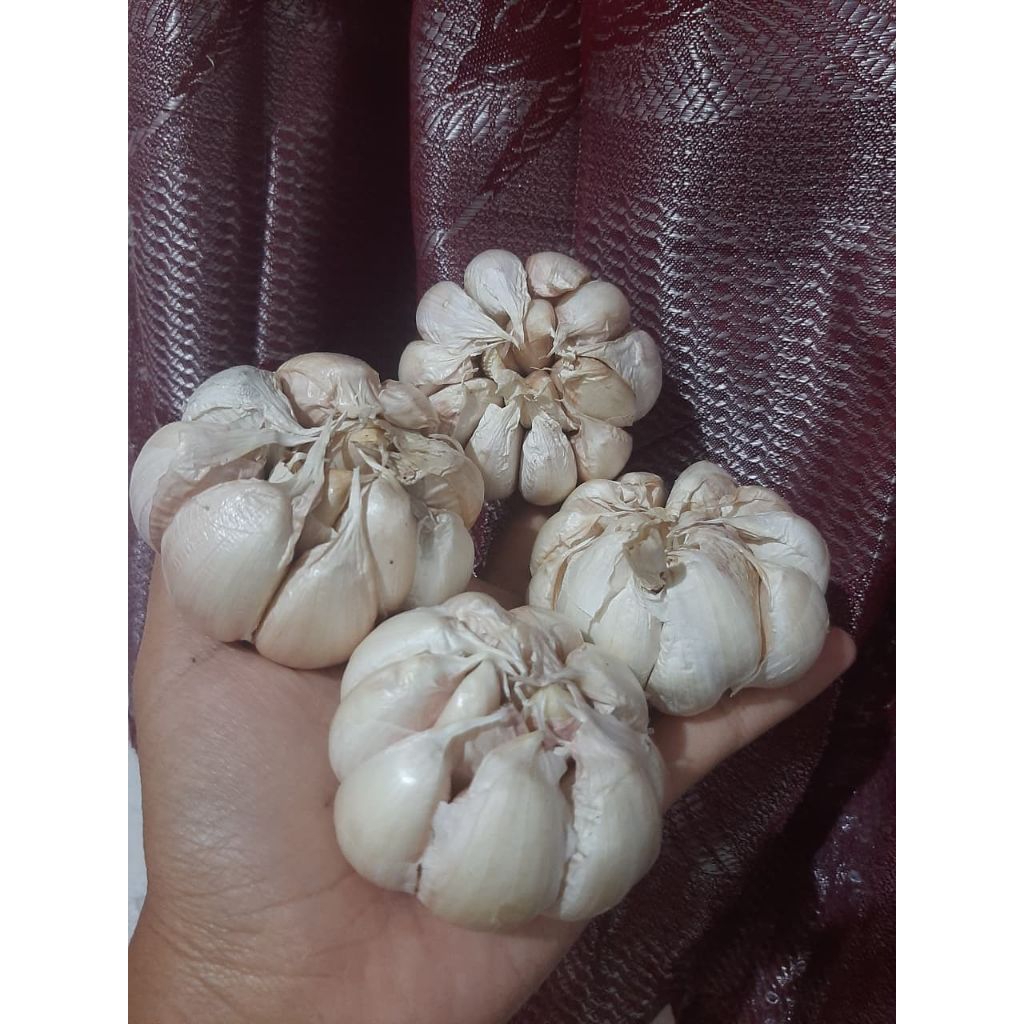 

bawang putih 1kg fres