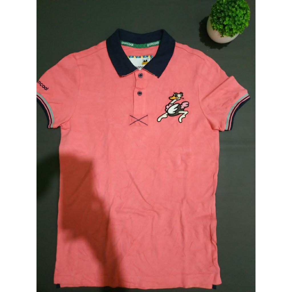 Polo Pancoat second original