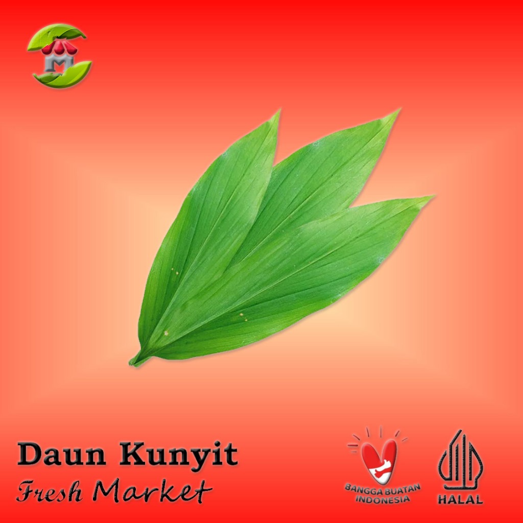 

[JAKTIM] Daun Kunyit Per Pack 5 Lembar