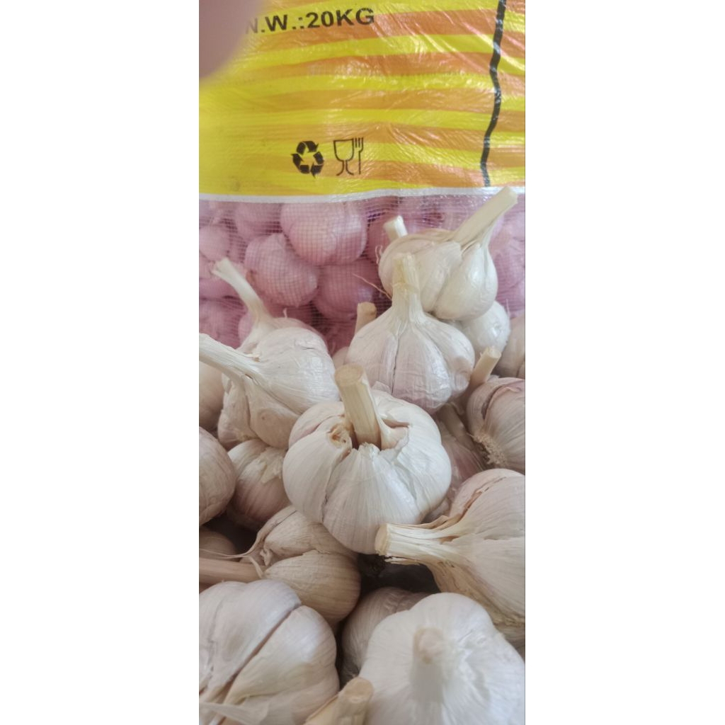 

bawang putih kating 500 gram